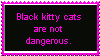 black kitty cats